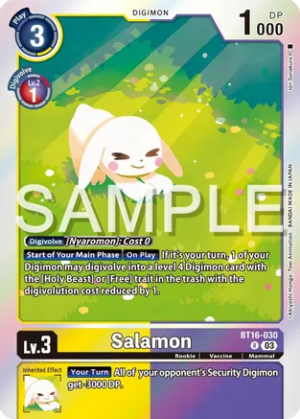 Salamon - Beginning Observer (BT16-030 R)