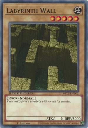 Labyrinth Wall - SGX2-END02 - Common