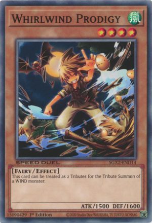 Whirlwind Prodigy - SGX2-END14 - Common