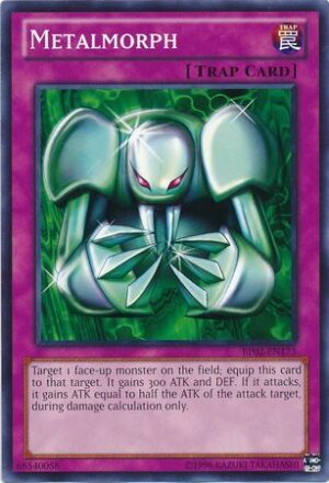 Metalmorph - BP02-EN173 - Common
