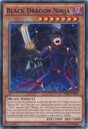 Black Dragon Ninja - TDIL-EN036 - Common