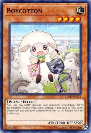 Boycotton - FLOD-EN035 - Common