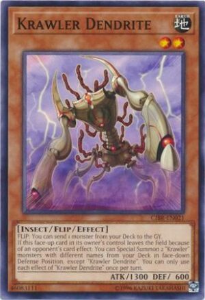 Krawler Dendrite - CIBR-EN021 - Common