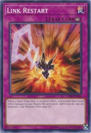 Link Restart - CIBR-EN068 - Common
