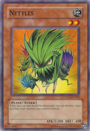 Nettles - CSOC-EN024 - Common