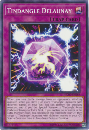 Tindangle Delaunay - EXFO-EN069 - Common
