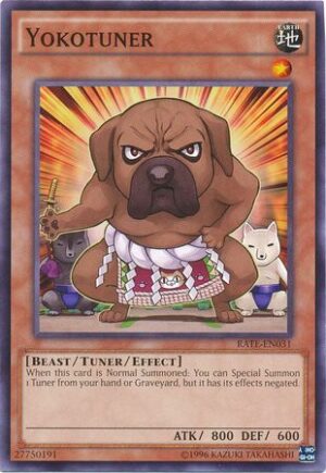 Yokotuner - RATE-EN031 - Common