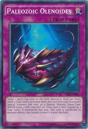 Paleozoic Olenoides - TDIL-EN095 - Common