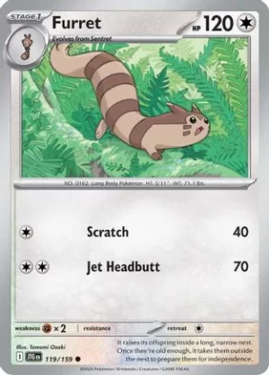 Furret - 119/159 - Common