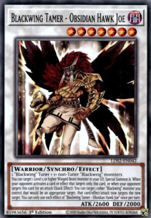 Blackwing Tamer - Obsidian Hawk Joe - Legendary Duelists: Season 2 LDS2-EN042 - Common