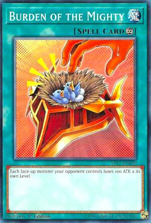 Burden of the Mighty - Starter Deck: Link Strike YS17-EN029 - Common