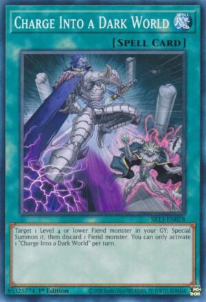 Charge Into a Dark World - Structure Deck: Dark World SR13-EN028 - Common