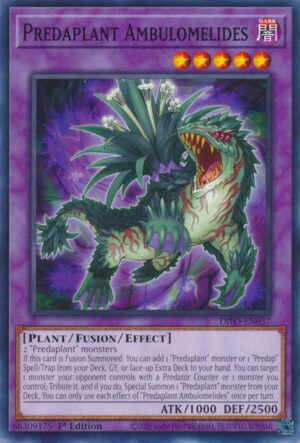Predaplant Ambulomelides - Dimension Force DIFO-EN037 - Common