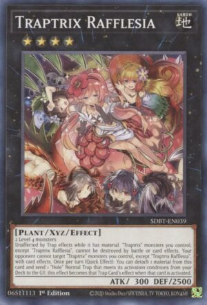 Traptrix Rafflesia - Structure Deck: Beware of Traptrix SDBT-EN039 - Common
