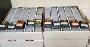 Lote 50 cartas Magic The Gathering MTG sin repetir